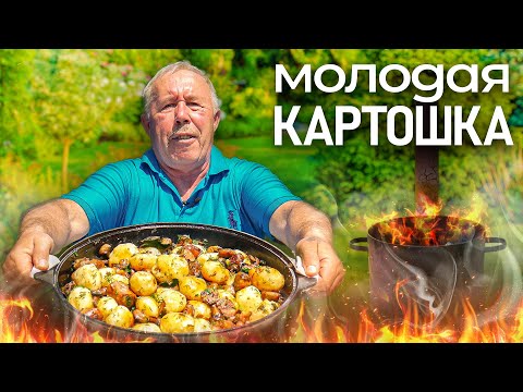 Видео: МОЛОДАЯ КАРТОШКА на СКОВОРОДЕ. С грибами, лучком и домашней колбаской