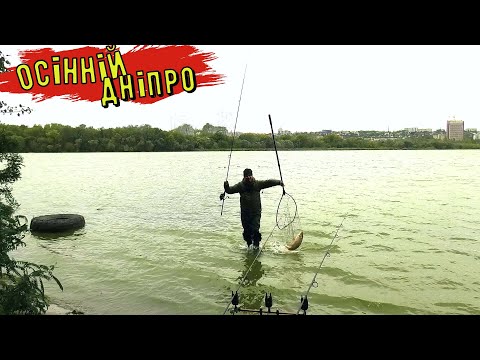 Видео: Шалений вітер Дме, Холодно !!! Рибалка на Здоровених риб на Дніпрі !!!