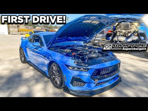 Видео: ПЕРВЫЙ ПРИВОД на МКПП Whipple Supercharged S650 Mustang GT!! *800 л.с.*