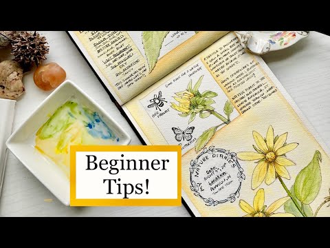 Видео: 7 советов по рисованию, которые помогут вам начать вести дневник природы