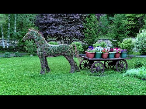 Видео: Белокуриха