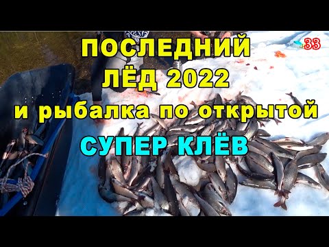 Видео: Супер клёв в конце апреля 2022. Такой клёв большая редкость и мечта.