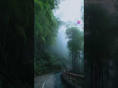 Видео: Я люблю тебя, осень 