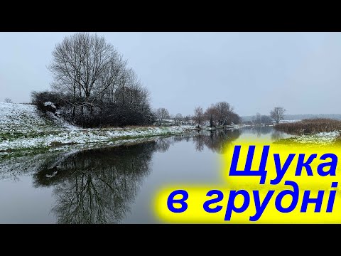 Видео: Зимова риболовля на р. Стир! Хотів піймати окуня, а клює щука! Яка риба клює на спінінг взимку?
