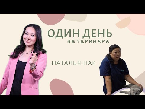Видео: ОДИН ДЕНЬ ВЕТЕРИНАРА | Наталья Пак
