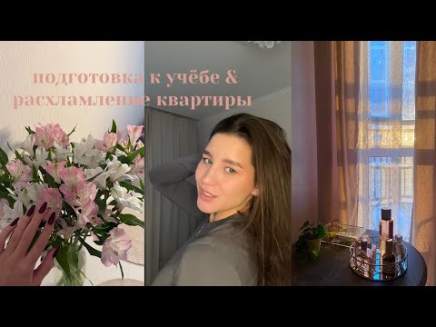 Видео: подготовка к учёбе & расхламление квартиры 