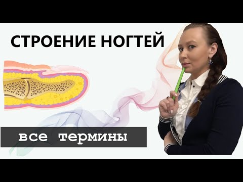 Видео: Строение ногтя. Самое важное, что должен знать мастер маникюра.