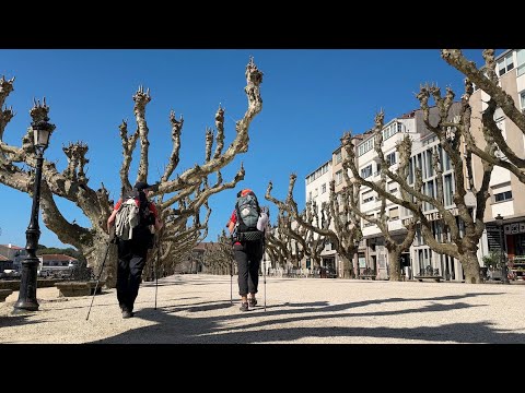 Видео: 10. Камино-де-Сантьяго - португальский путь Camino Portugués de la Costa