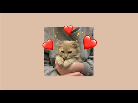 Видео: 5sta Family - Буду с тобой (speed up)