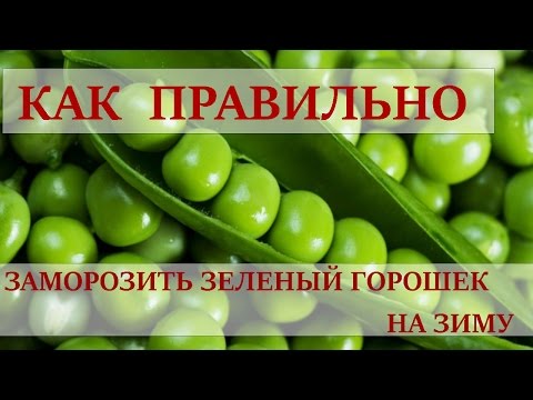 Видео: Как правильно заморозить зеленый горошек на зиму / how to freeze green peas