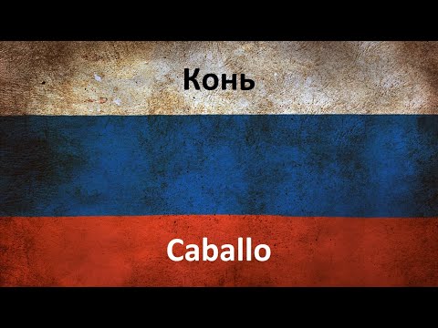 Видео: Конь en español (Caballo) - Pelageya & Lyubé