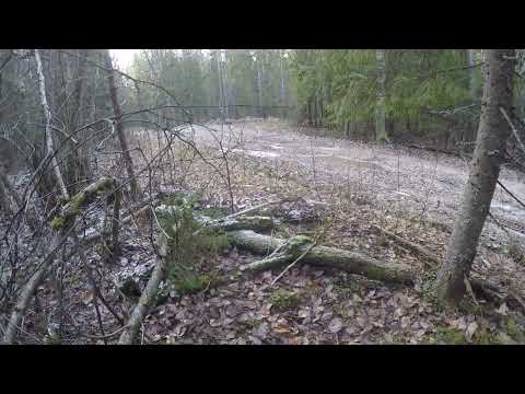 Видео: В-Плакса Литвинова на состязаниях на кубок северо-запада, 2024.