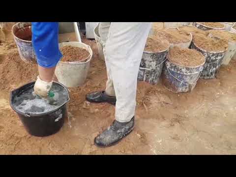 Видео: 500 кг/м3 пенополистиробетон. На  БАС-250, исполняет Михаил!