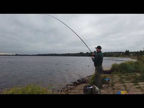 Видео: Рыбалка на Неве! Стоит-ли ехать.