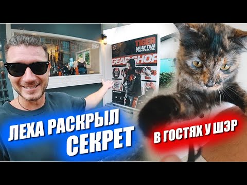 Видео: В гостях у Шэр. Бытовуха и грандиозные планы Лехи