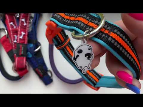 Видео: Хранение вещей собаки + обзор амуниции|| зачем 6 рулеток ?