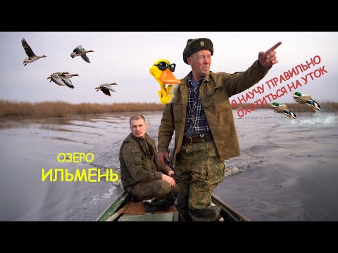 Видео: Утиные истории, весенняя охота на озере Ильмень