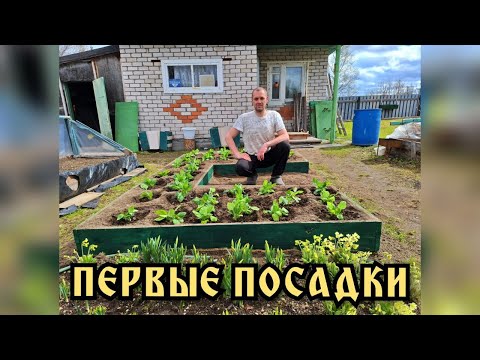 Видео: На даче. Цветы. Первые посадки рассады  Очень много рассады