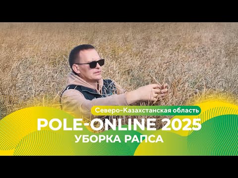 Видео: Уборка рапса в Северо-Казахстанской области | Pole-Online 2025 #рапс #гербицид #фунгицид