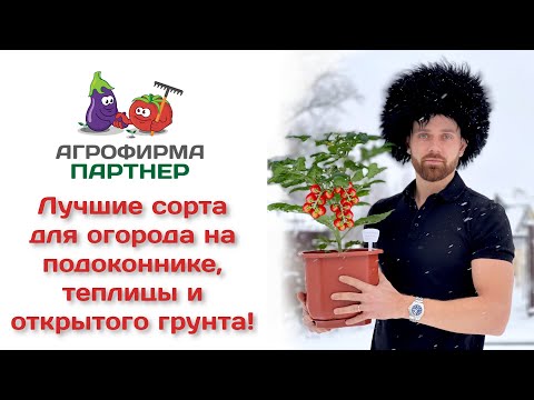 Видео: Лучшие сорта для огорода на подоконнике, теплицы и открытого грунта!