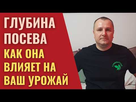 Видео: Оптимальная глубина заделки семян для максимального урожая