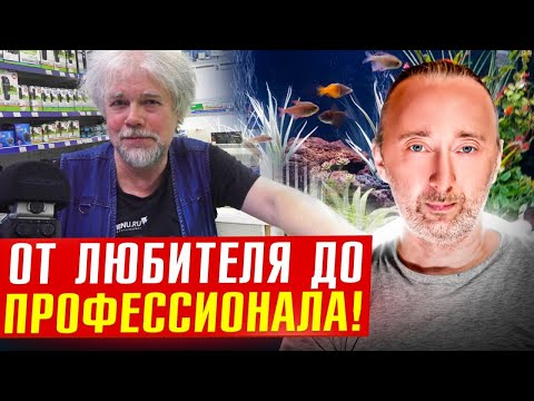 Видео: В. Ковалёв, аквариумист - ихтиопатолог: дело жизни с 1963 г.