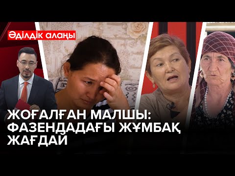 Видео: Мал бағуға кетіп, іс-түссіз жоғалған | «Әділдік алаңы» | Руслан Өтепбай