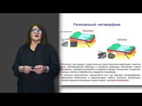 Видео: Мизерная М. лекция №10 "Метаморфизм"