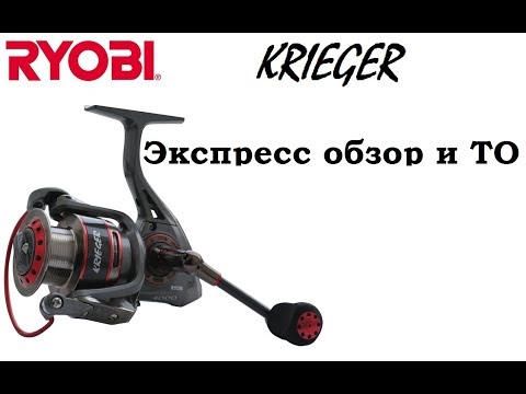 Видео: Ryobi Krieger 3000 Экспресс обзор и ТО.