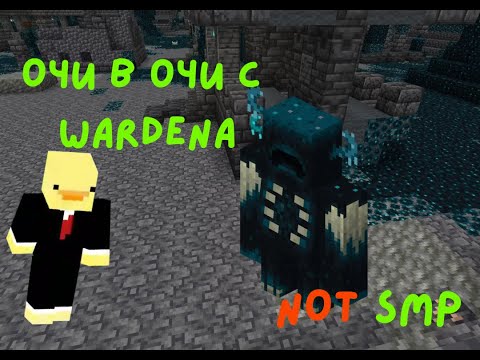 Видео: Очи в очи с Wardena - NOT SMP s2 ep2