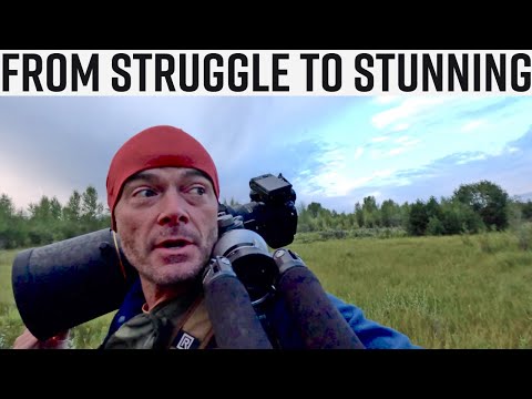 Видео: От борьбы к ошеломляющим результатам: выходные с кемпингом и фотографированием дикой природы в на...