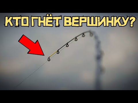 Видео: КРУПНОЕ КЛЮЕТ на МЯСО! Закинул нарезку и КЛЮНУЛО НЕЧТО! Это судак?!