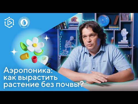 Видео: Аэропоника: как вырастить растение без почвы? Александр Ветчинников ("Курс на науку" #13)