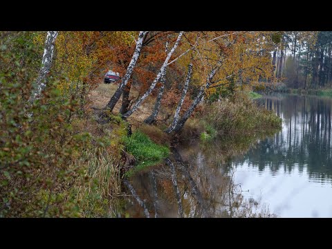 Видео: Бехи:Тупо заготовка Карася перед зимою на річці Уж.В кожного по 5кг риби
