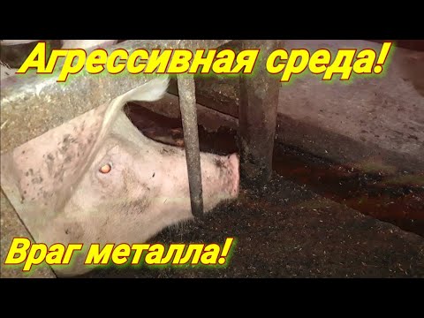 Видео: Проблемы  с которыми мы сталкиваемся каждый день!