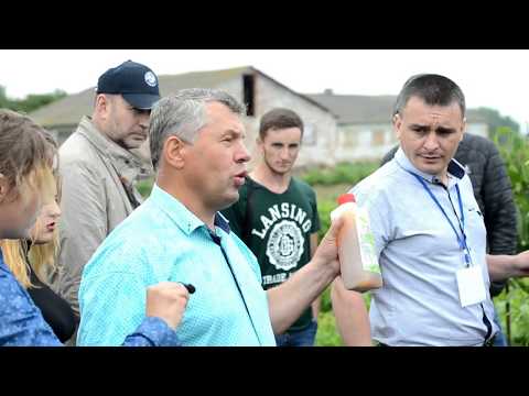 Видео: №22 перший практичний семінар Твій горіх Юкал І І