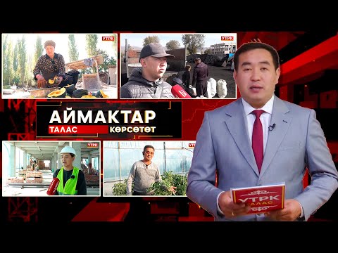 Видео: Талас көрсөтөт // Аймактар // 20.10.25