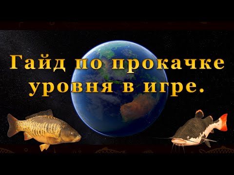 Видео: Fishing Planet. Гайд по прокачке и фарму в игре. Как быстро прокачаться.