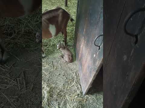 Видео: Всем привет. Потихоньку заканчиваем сезон.