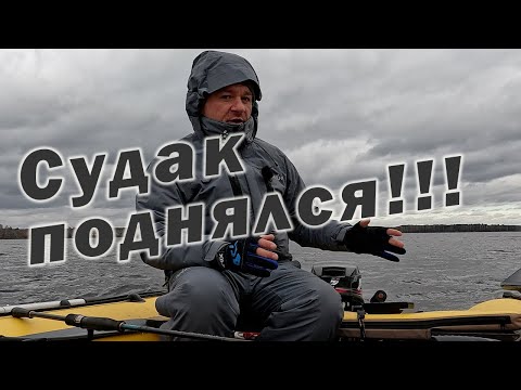 Видео: ВЫХОД СУДАКА!!! ВЫШЕЛ В НЕПОГОДУ ПРОВЕРИТЬ СТАРЫЕ МЕСТА!!! ОТЗЫВ О КОСТЮМЕ Redbor Ignis!