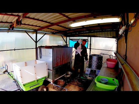 Видео: КОРМА ДЛЯ БРОЙЛЕРОВ. Финал. Итоги выращивания на кормах от МегаМикс.