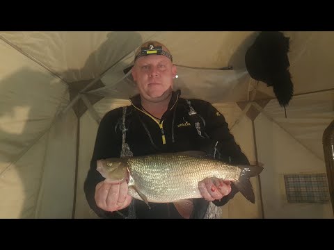 Видео: ЯЗИ ЯКУТИИ!!! РОМАН РЫБКИН ЗАСЛУЖИЛ!