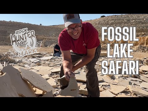 Видео: РЕДКАЯ находка окаменелостей во время моего первого посещения САФАРИ НА ОЗЕРЕ ФОССИЛ!