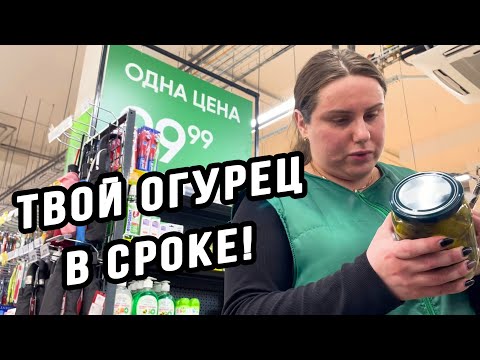 Видео: ДИРЕКТОР ВЕРНУЛА ДЕНЬГИ ЗА МОЙ ОГУРЕЦ