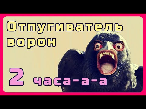 Видео: Звуки хищных птиц против ворон. Отпугиватель летающих вредителей. #2часовые