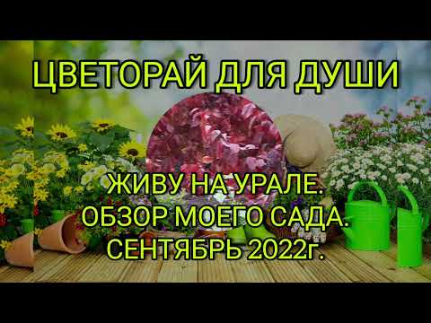 Видео: ПРО САД. ЖИВУ НА УРАЛЕ. СЕНТЯБРЬ 2022г.