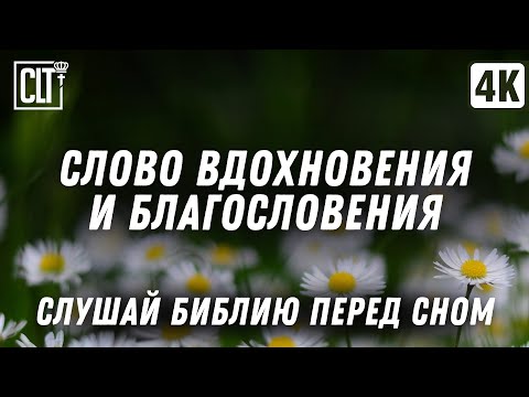 Видео: Ночью вспоминал я имя Твое, Господи, и хранил закон Твой | Библия перед сном | Relaxing