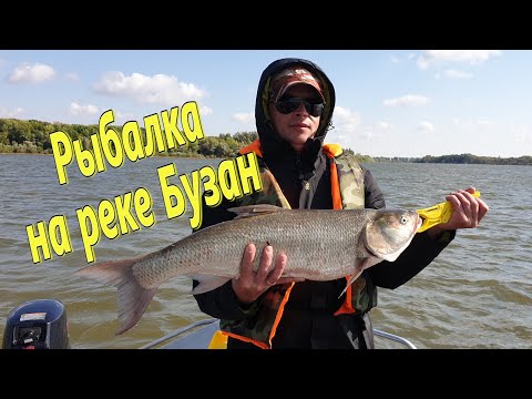 Видео: Рыбалка на реке Бузан, база Верхнелебяжье.