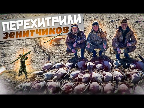 Видео: ЛУЧШАЯ ОХОТА СЕЗОНА!! СТОЛЬКО ГУСЯ МЫ ЕЩЕ НЕ ВИДЕЛИ! Охота на гуся 2022. Беларусь 17.04.22