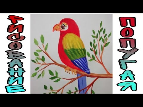 Видео: Рисуем попугая с детьми/Рисование попугая гуашью